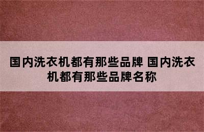 国内洗衣机都有那些品牌 国内洗衣机都有那些品牌名称